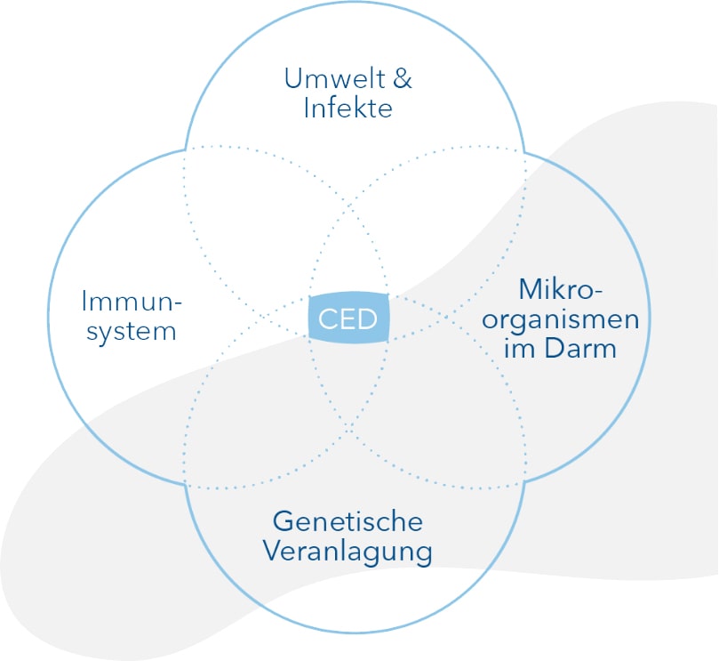 Auslöser von Colitis Ulcerosa, Umwelt, Immunsystem, Mikroorganismen, Genetische Veranlagung