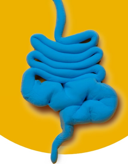 Darstellung des Darms in blau