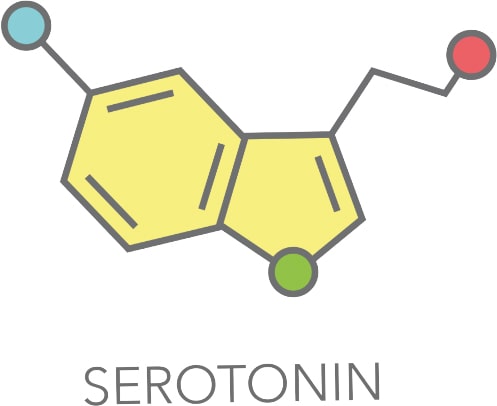 Serotonin Molekül