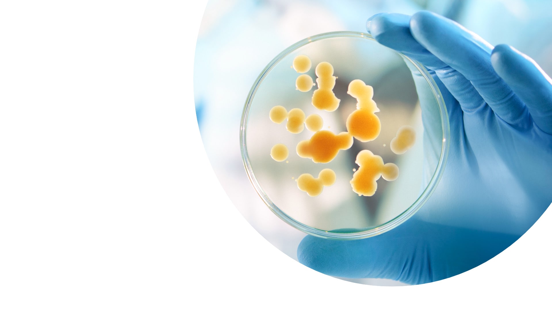 Wissenschaftliche Untersuchung